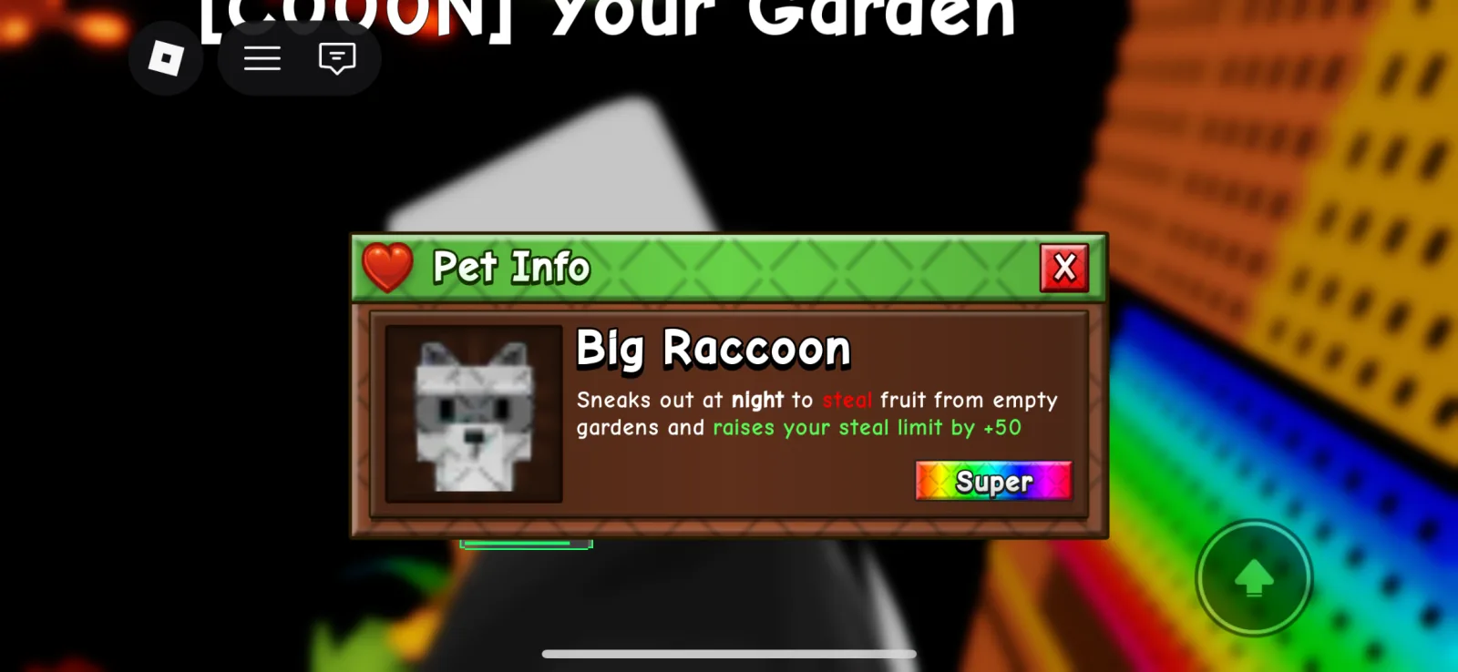 Raccoon (Super) — Account account