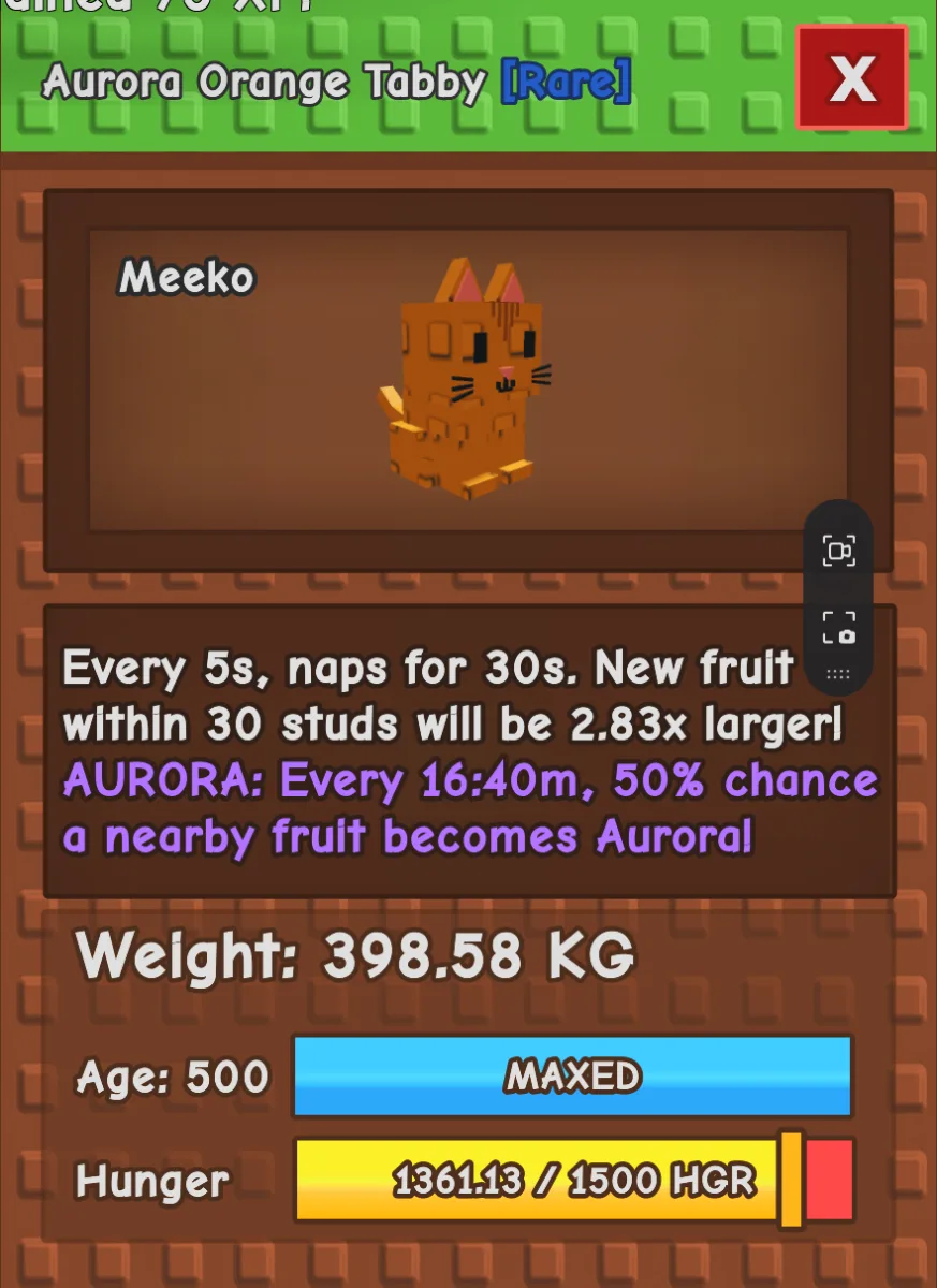 398kg (8.6kg age 1) TITANIC AURORA ORANGE TABBY - COLLECTORS PET - 5s COOLDOWN - (AGE 500)
