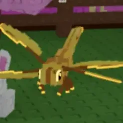 Golden Dragonfly — Account account