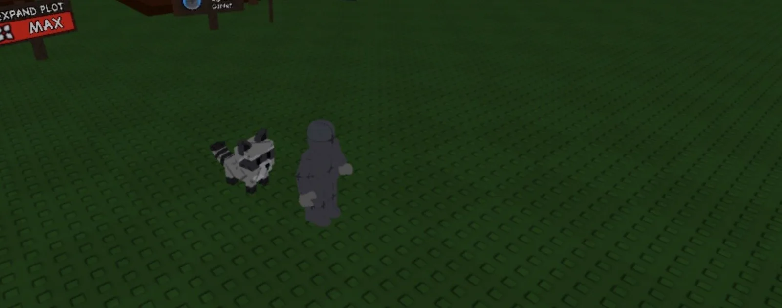 Raccoon (Super) — Account account