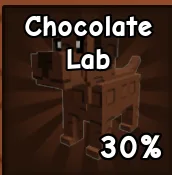 1x Choclate Lab ( Cheapest ) Instant Delivery