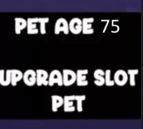 1X Pet Age 75+ — Account account