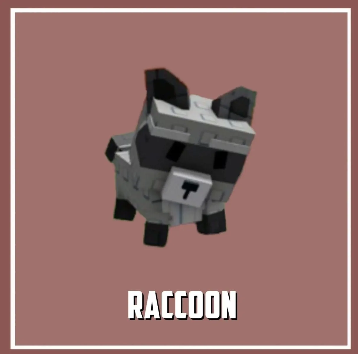 Raccoon (Super)