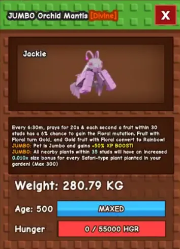 280kg+ JUMBO Orchid Mantis super handsome // Divine // age 500 maxed // Floral Rainbow maker//this is not butterfly/i run out of tag limitation othe
