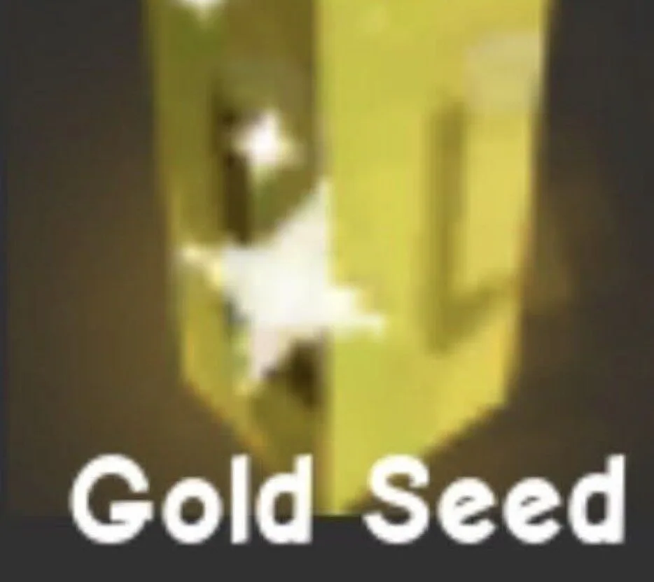Gold Seed — Account account