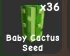 baby cactus — Account account