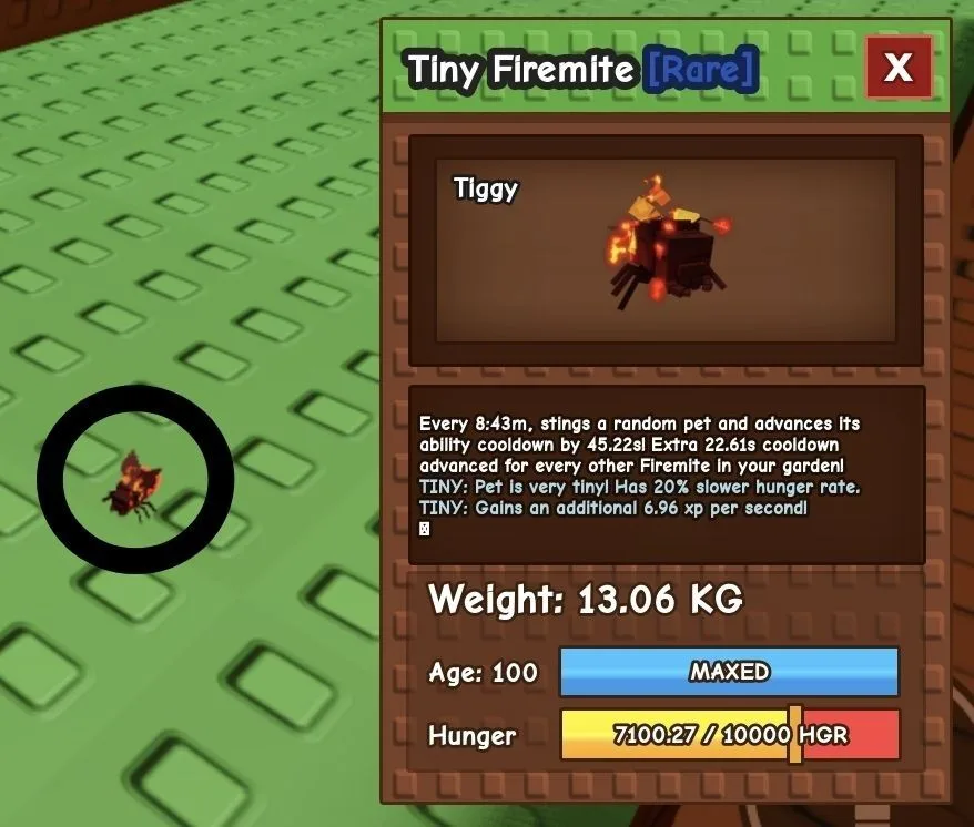TINY Firemite - 13.06 KG (Age 100)