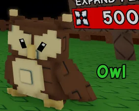 Owl Pet — Account account