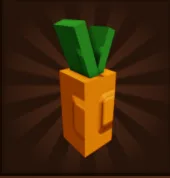Carrot Seed (Common)