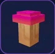 Maple Mushroom Seed