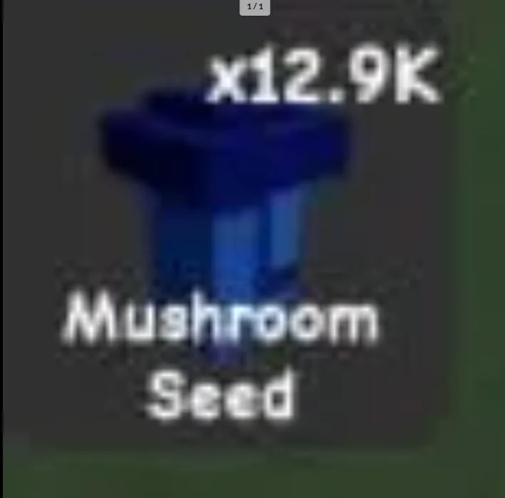 Mushroom Seed — Account account