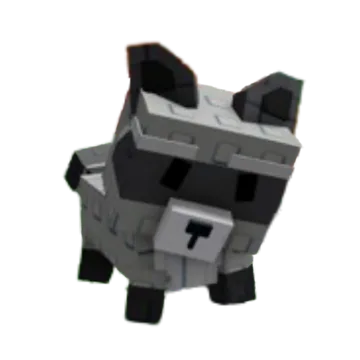 Raccoon — Account account