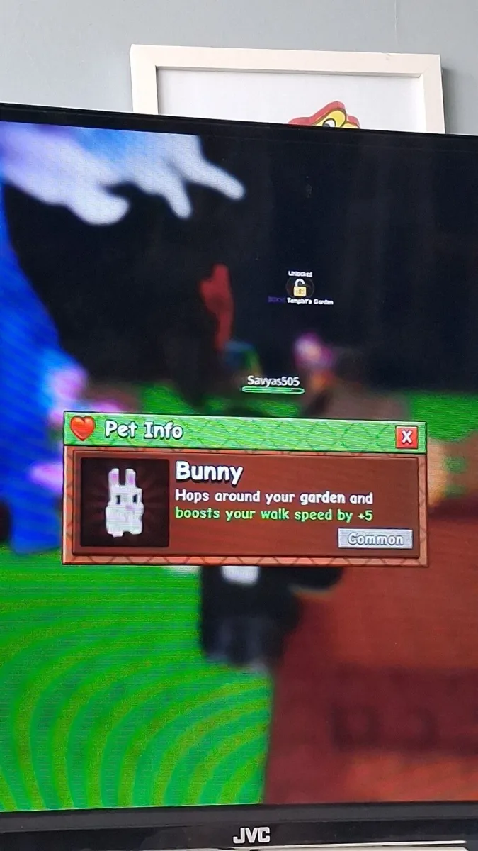 Bunny (Common) — Account account