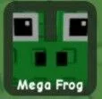 Frog (Common)