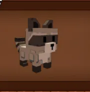 Raccoon +2kg Base — Account account