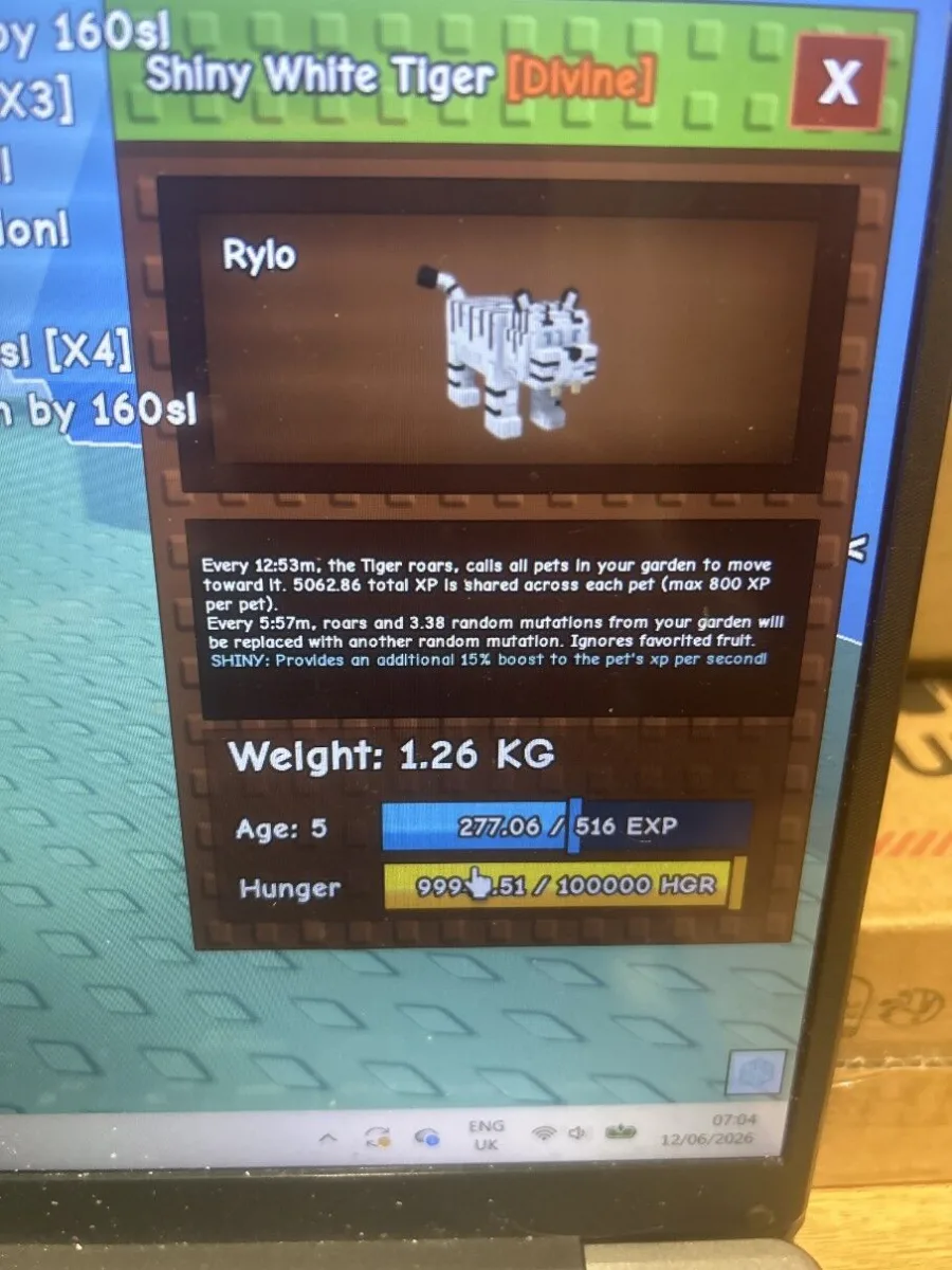 White tiger — Account account