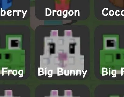 Bunny (Uncommon) — Account account