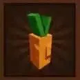 Carrot Seed (Common)