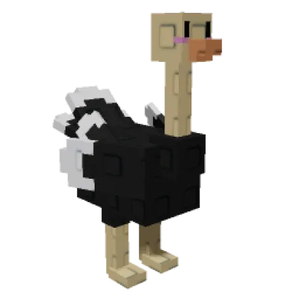 Ostrich — Account account