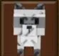 Raccoon (Super)