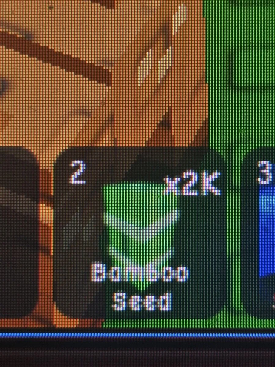 Bamboo Seed — Account account
