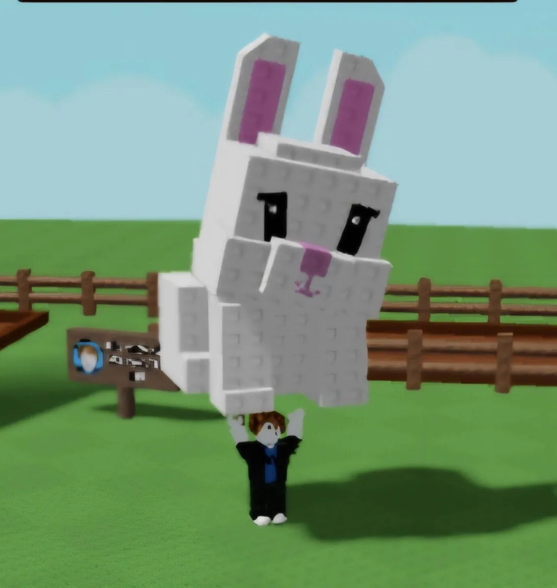 Bunny (Common)