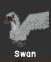 Swan pet NEW PET