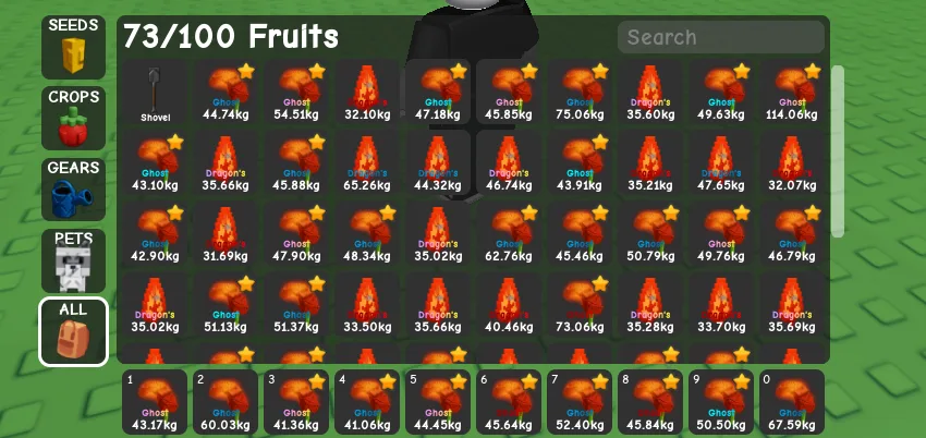 480,000,000 SHECKLES FRUIT IN ACCOUNT (Super) — Account account