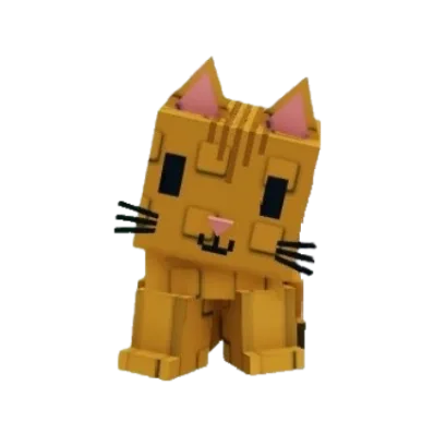 Orange Tabby