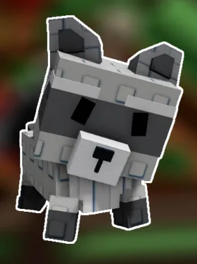 Raccoon — Account account