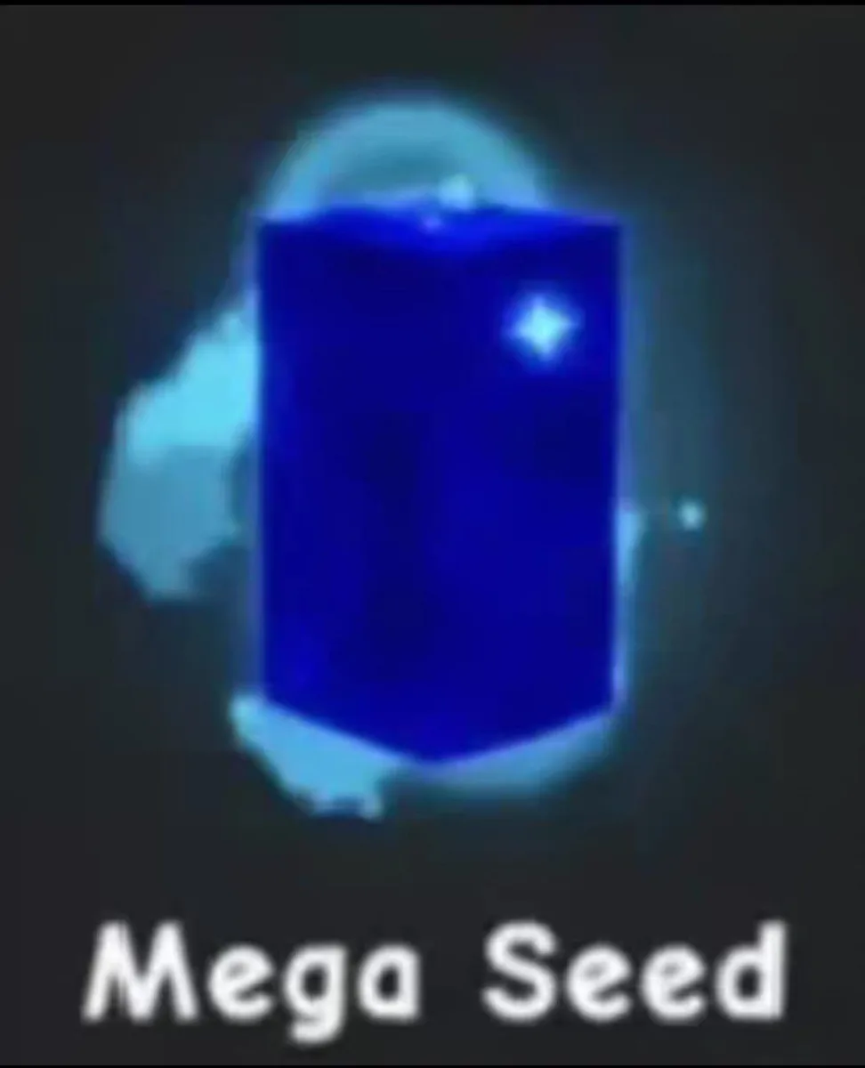 10 mage seed