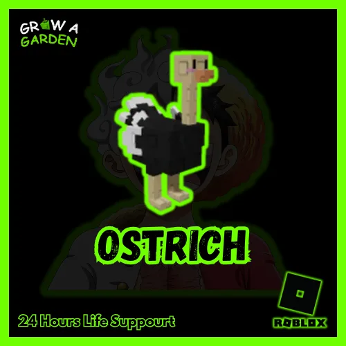 Grow A Garden - OSTRICH — Account account