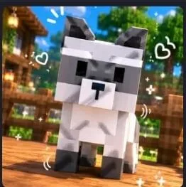 Raccoon (Super) — Account account