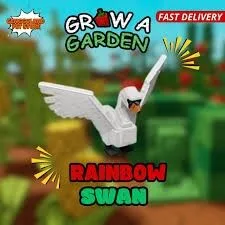 Rainbow swan — Account account