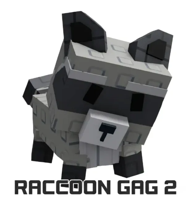 Raccoon
