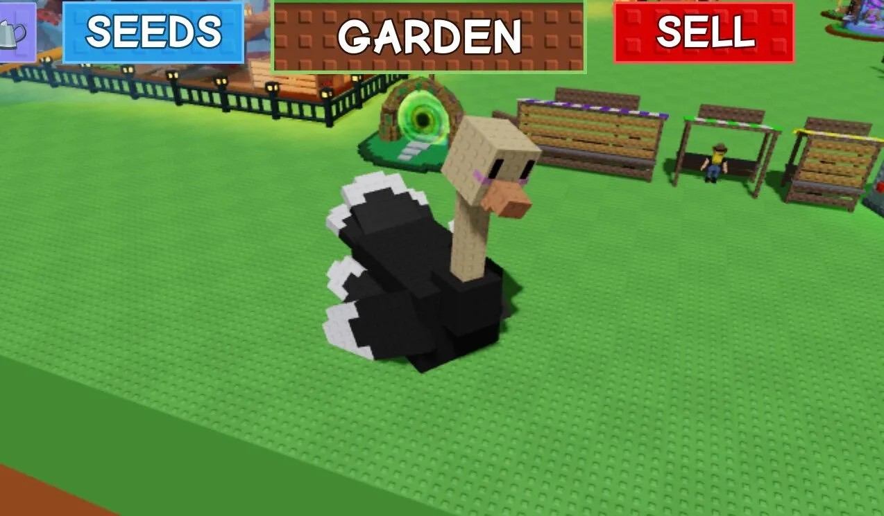 Ostrich! Random age! Random Kg!
