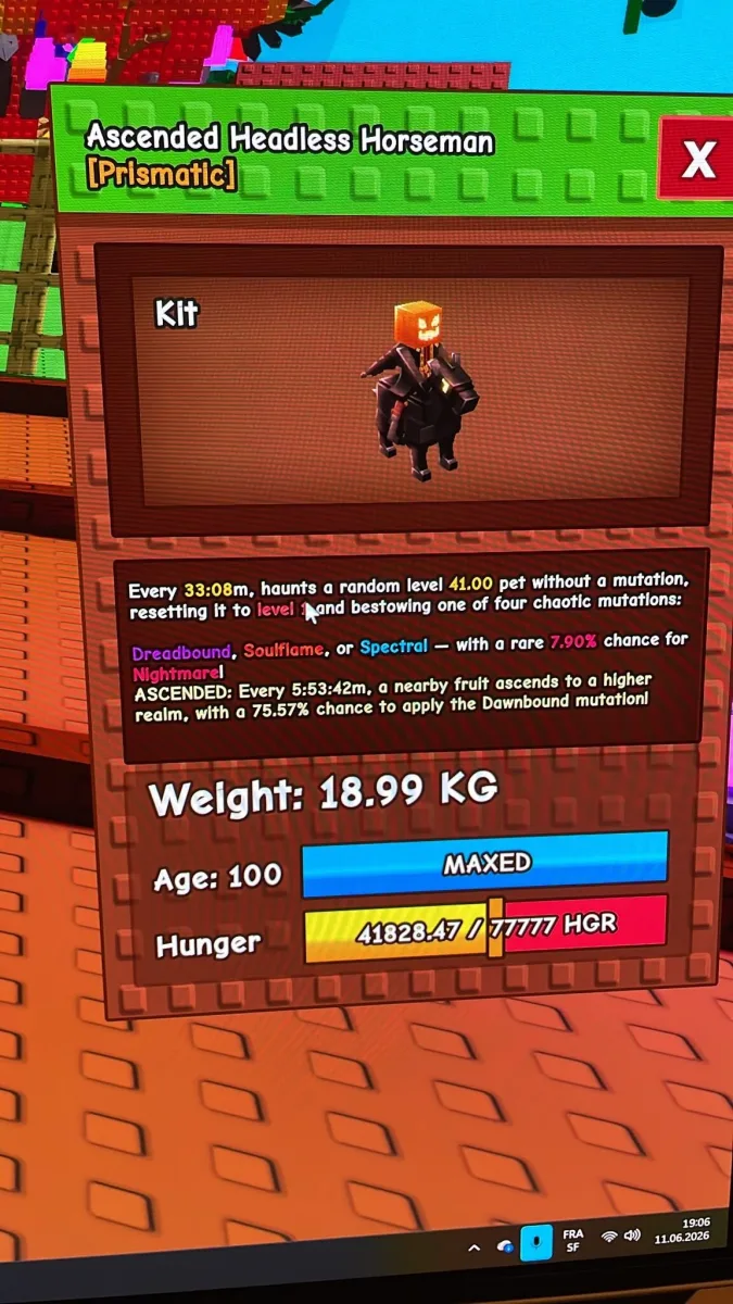 ASCENDED HEADLESS HORSEMAN (AGE 100 + 18.99KG) — Account account