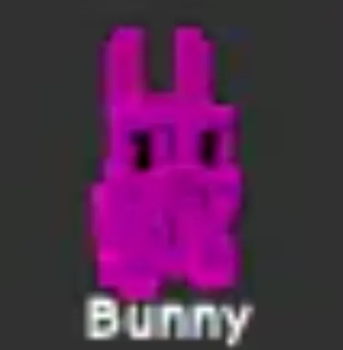 Bunny