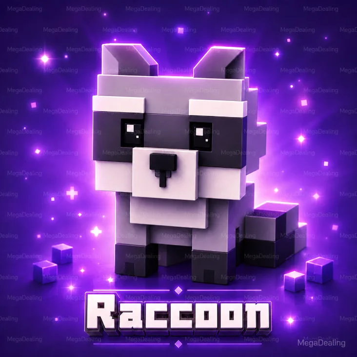 Raccoon