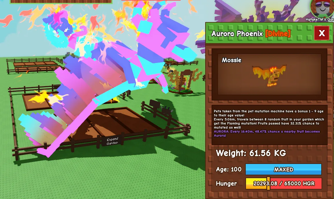 DONE 61.56kg Aurora Phoenix