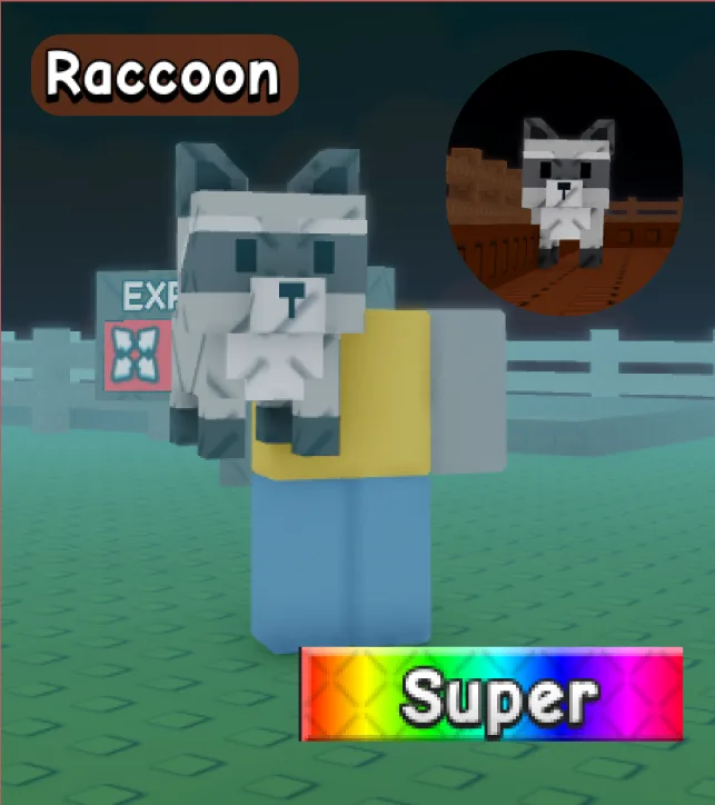 Raccoon (Super) — Account account