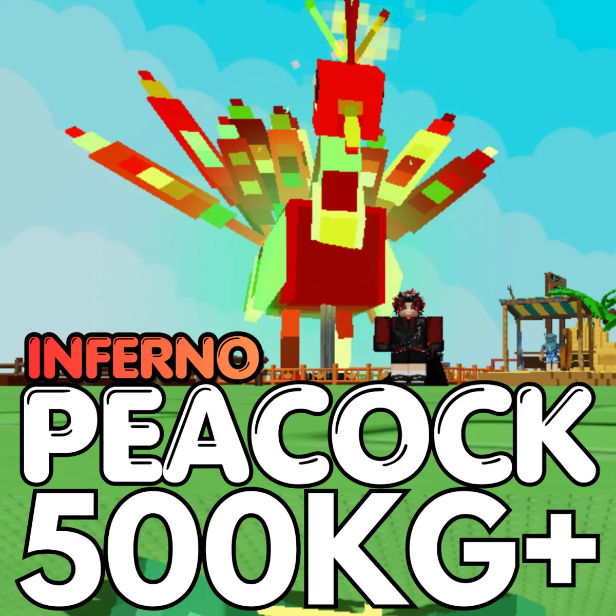 INFERNO Colossal Peacock 500KG+ 15sec CD Age 500 INSTANT DELIVERY