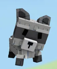 Raccoon (Super)
