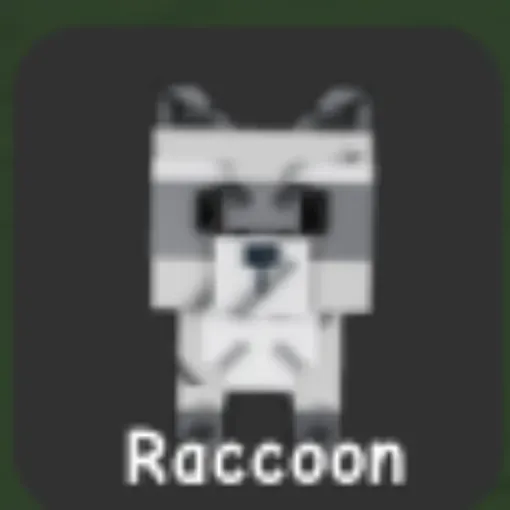 Raccoon (Common)