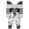 Raccoon
