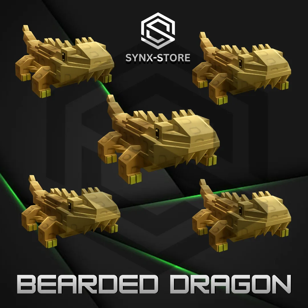 5 x Bearded Dragon