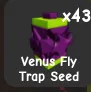Venus Fly Trap Seed