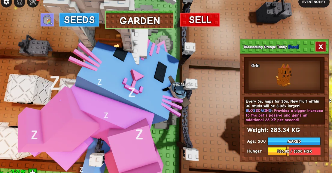 280KG+ Blossoming Orange Tabby Rare // super handsome // Age 500 Maxed // 3.06x Fruit Size + 25 XP/s