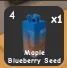 MAPLE BLUEBERRY SEED