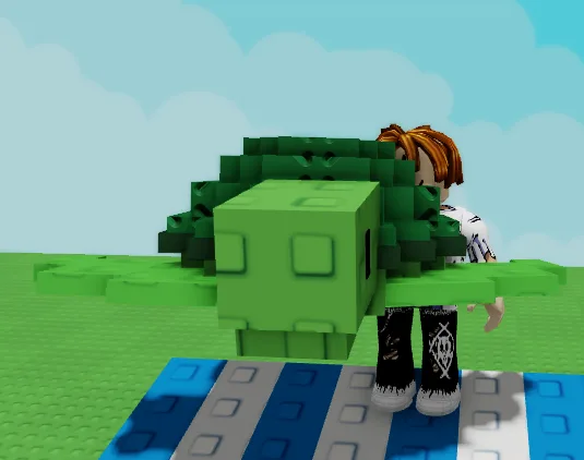 Sea Turtle Pet